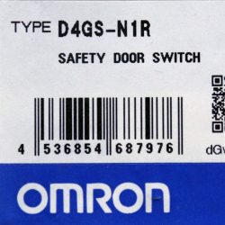 D4GS-N1R
