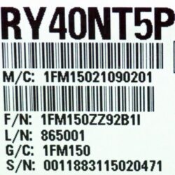 RY40NT5P Melsec iQ-R PLC Mitsubishi
