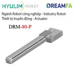 DRM-80-P