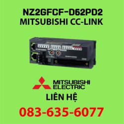 NZ2GFCF-D62PD2